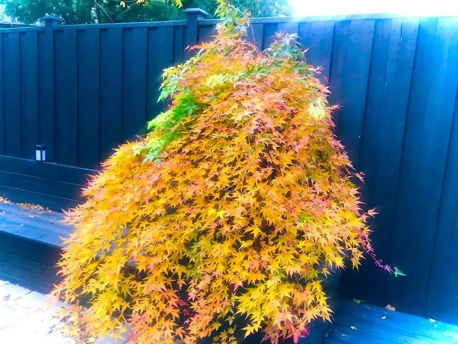 Central Toronto Canada